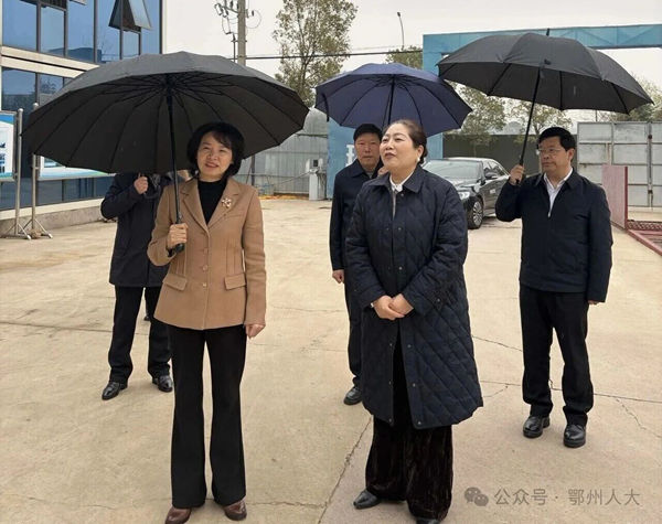 11_副本.jpg 11_副本.jpg